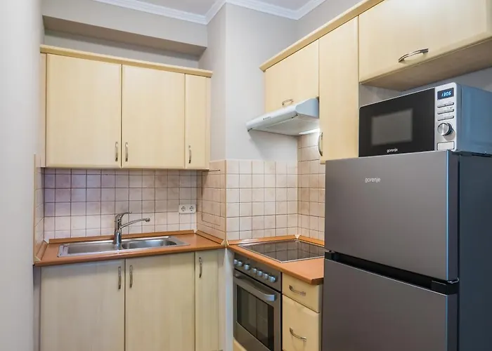 Plazs Apartment